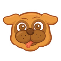 BUDG