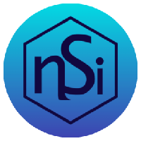 NSI