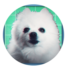 GABECOIN
