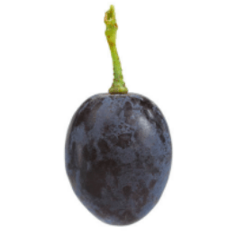 GRAPE