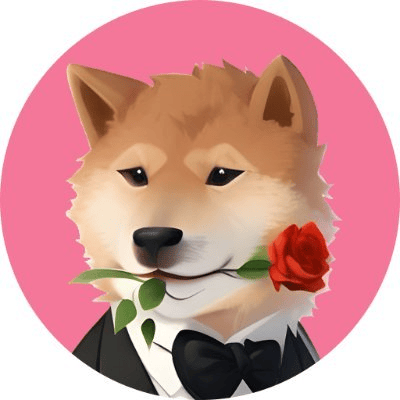 VDOGE