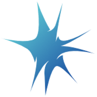 NER