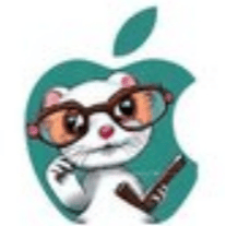 FERRET