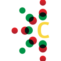 CAJ