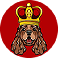 DOGEKINGS