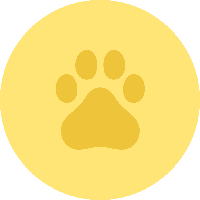 DXCT