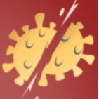 CVC