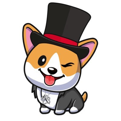 MOLLYDOGE