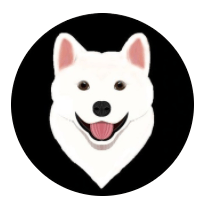 JEJUDOGE
