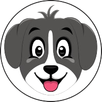 COLLIE
