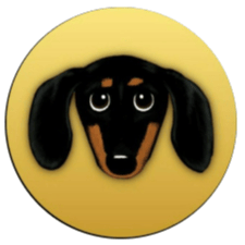 DSD