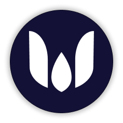 WAD