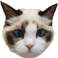 BENJI