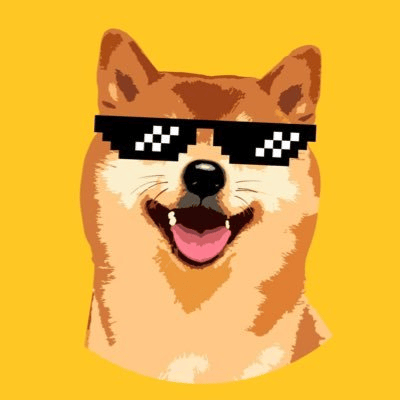 FLOKICASH