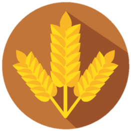 WHEAT