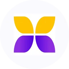 DDMI