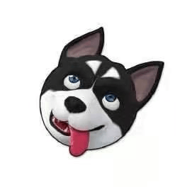 SDOG