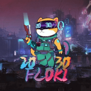 2030FLOKI