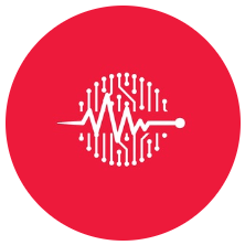 PULSE