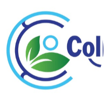 CCT