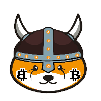 BFLOKI