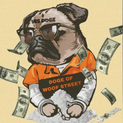 WSDOGE