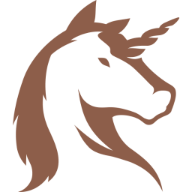 DSRUN