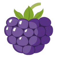 BB