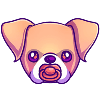 BBOXER