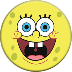 SPONGS