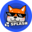 SPLASH