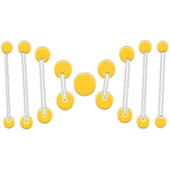 XDNA