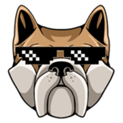 GDOGE
