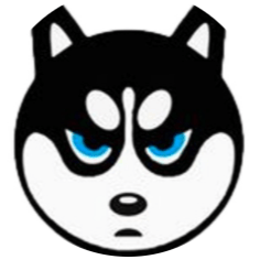 HSK