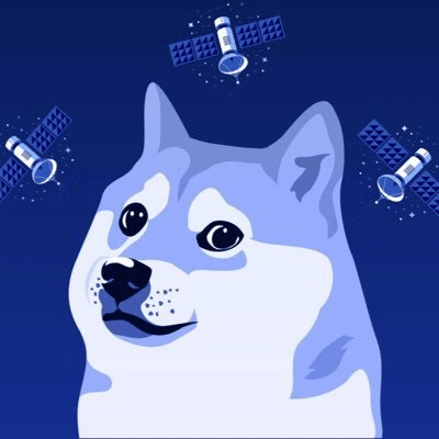 DOGE-1SAT
