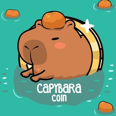 CAPY