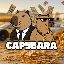 CAPY