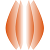BAC
