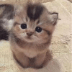 CATME