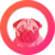 TOPDOG