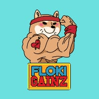 GAINZ