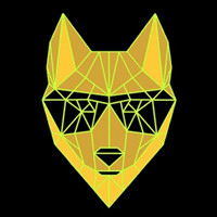 DINGO