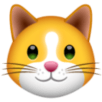 KIF