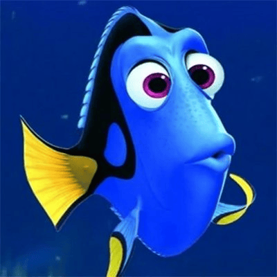 DORY