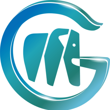 GMMT
