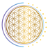 ERK