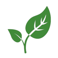 CLF
