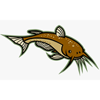 CFISH