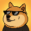 DANKDOGE