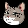 GINNANCTO